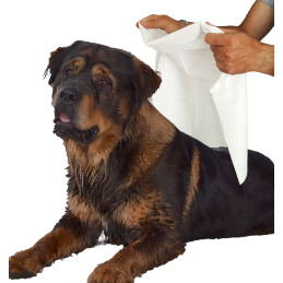 50 Disposable PET DRYERS In...